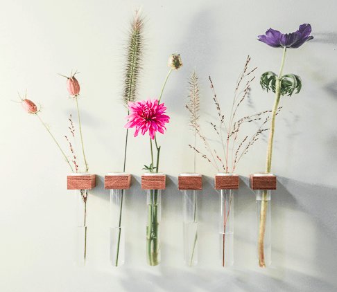 Figr1 bloemen in reageerbuisjes hout op wand