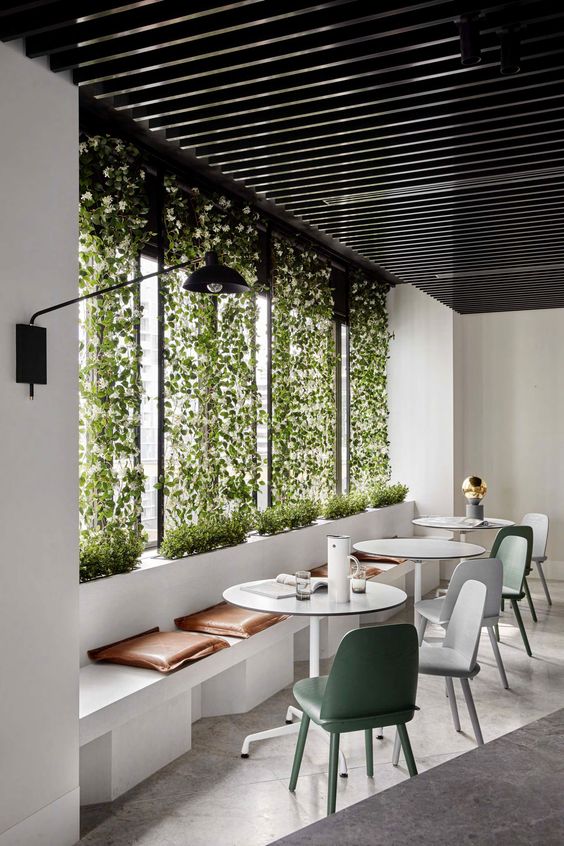 Groene wand hangplanten voor het ram