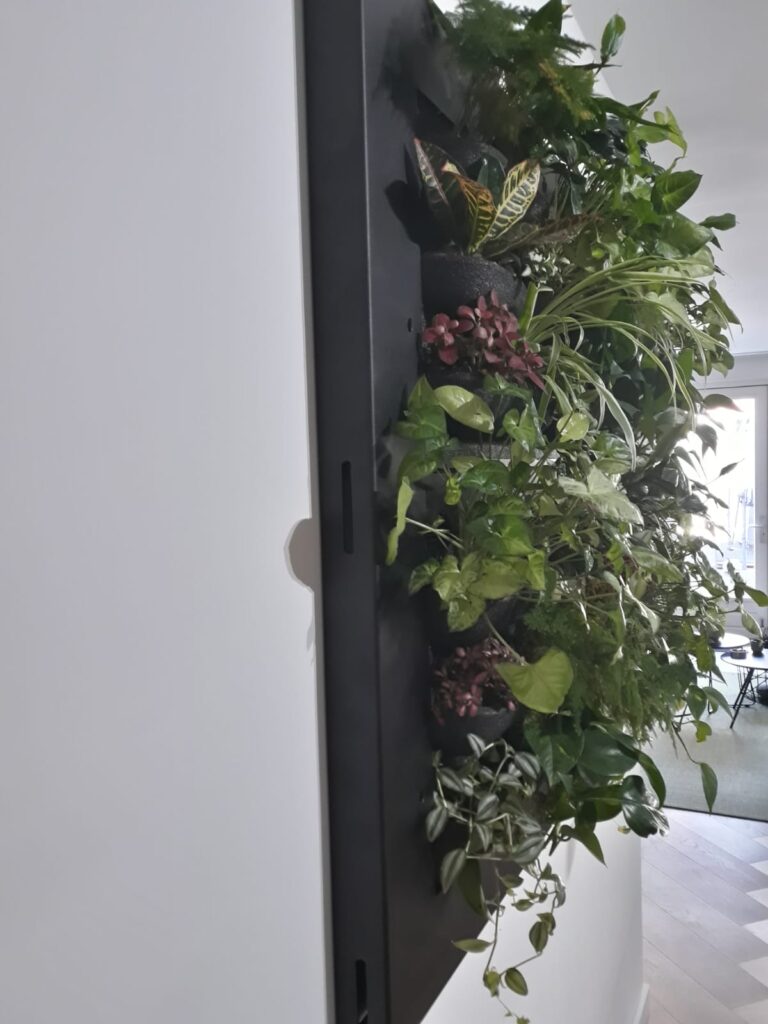 stalen frame om plantenwand